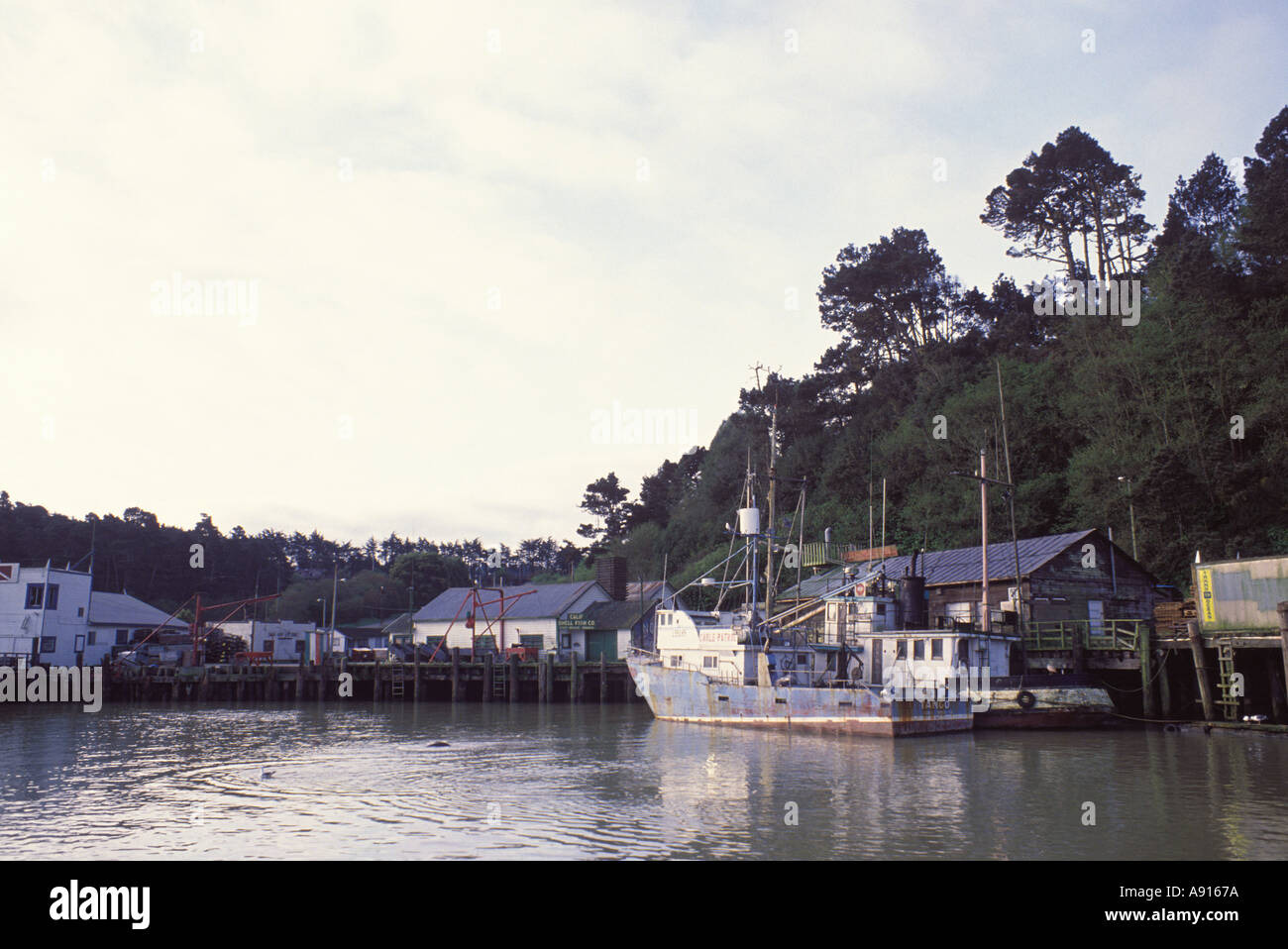 Fort Bragg, Kalifornien Stockfoto