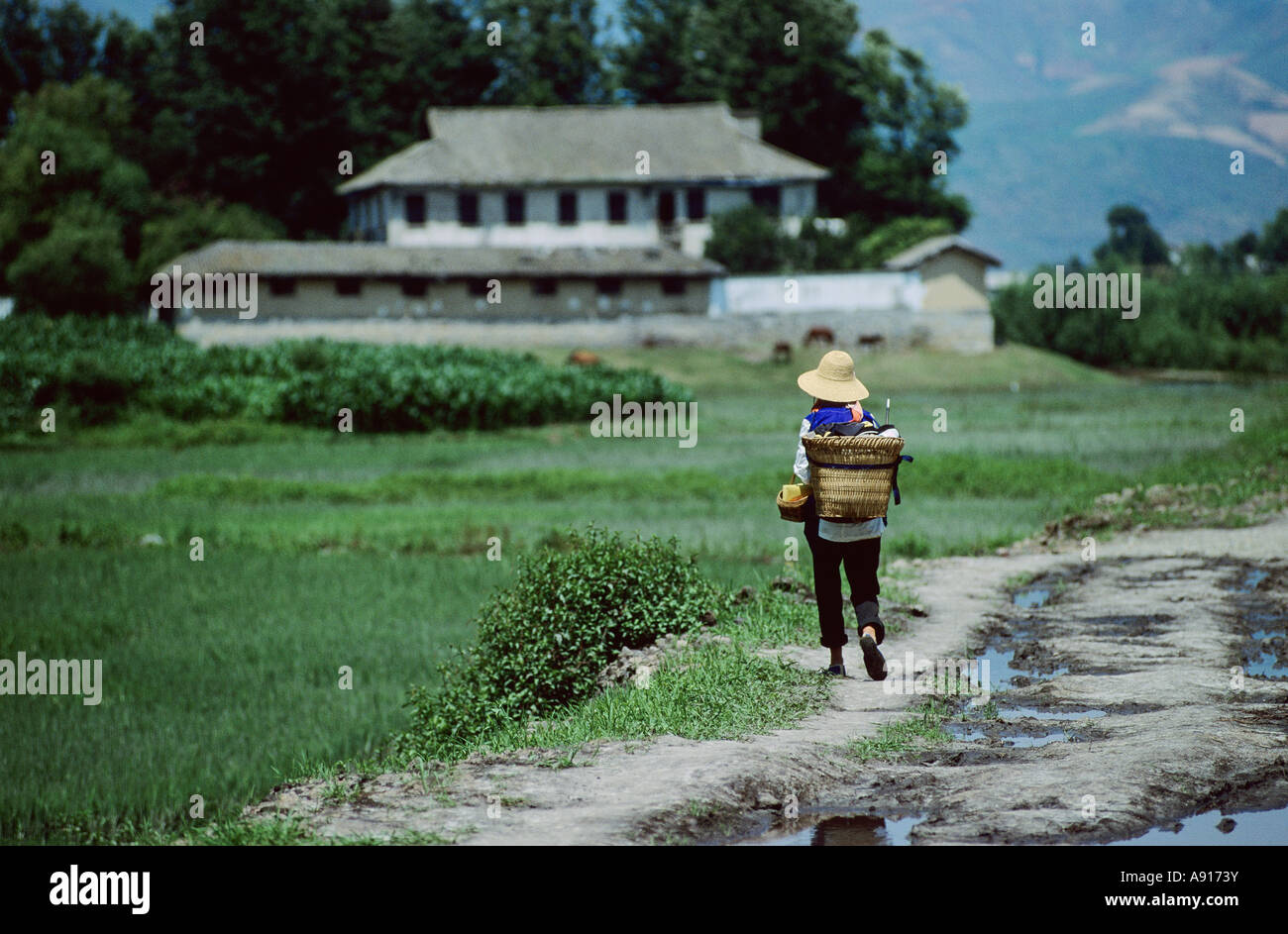 Frau zu Fuß auf der Straße in der Nähe von Dali, Provinz Yunnan, China Stockfoto