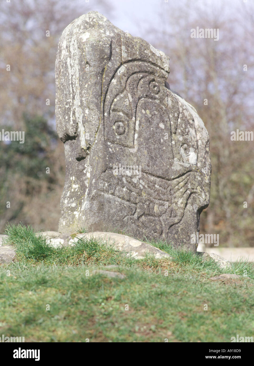 dh Eagle Stone scotland STRATHPEFFER ROSS CROMARTY Celtic Pictish Art pictish geschnitzte Pictsteiner stehende Steine Schnitzsymbol Stockfoto