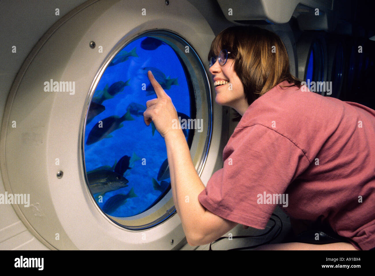 Unterwasser Ansichten von den u-Boot-Atlantis-Touren auf Hawaii. Stockfoto