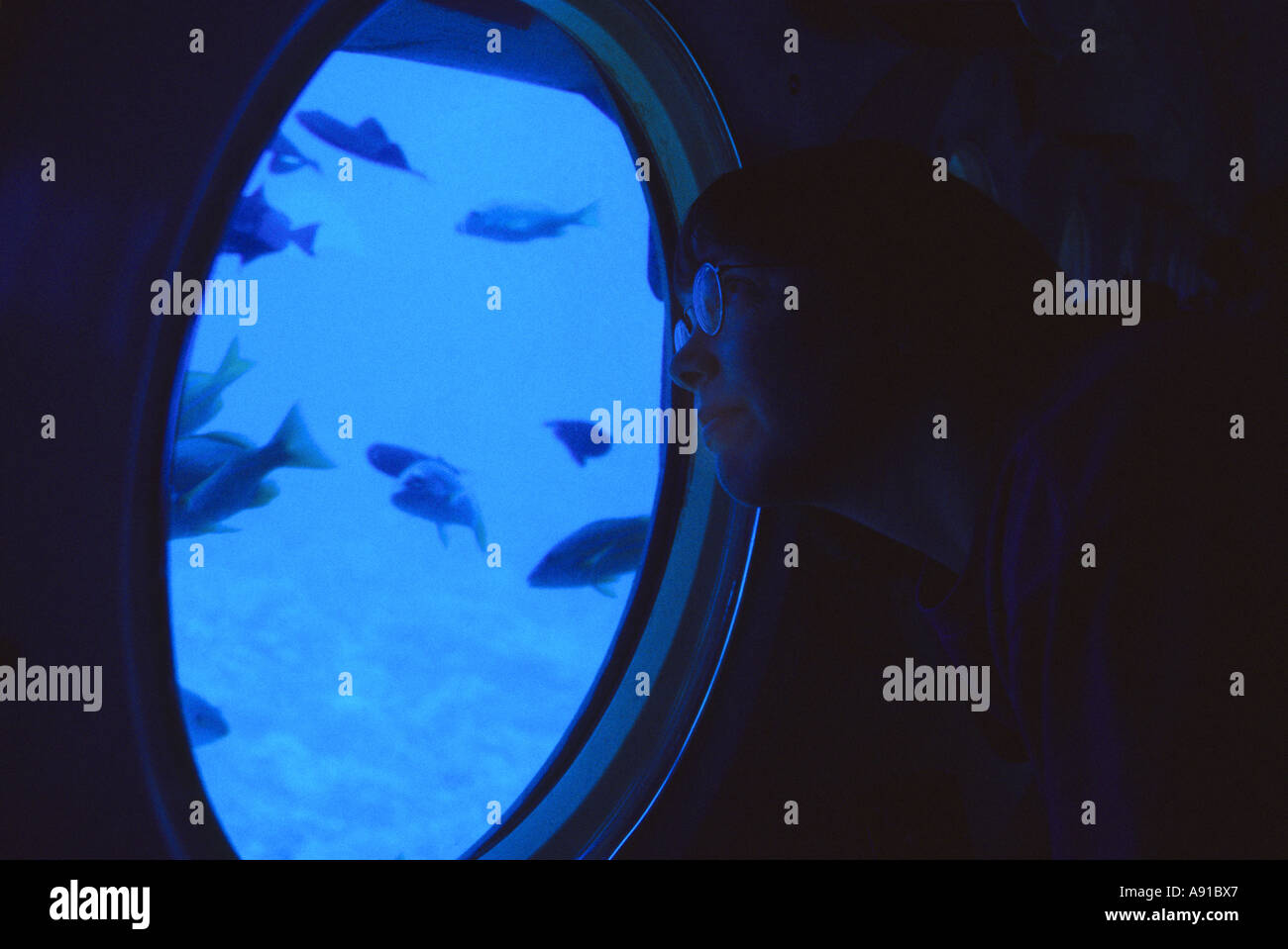 Unterwasser Ansichten von den u-Boot-Atlantis-Touren auf Hawaii. Stockfoto