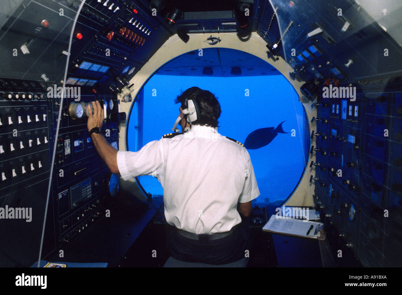 Unterwasser Ansichten von den u-Boot-Atlantis-Touren auf Hawaii. Stockfoto