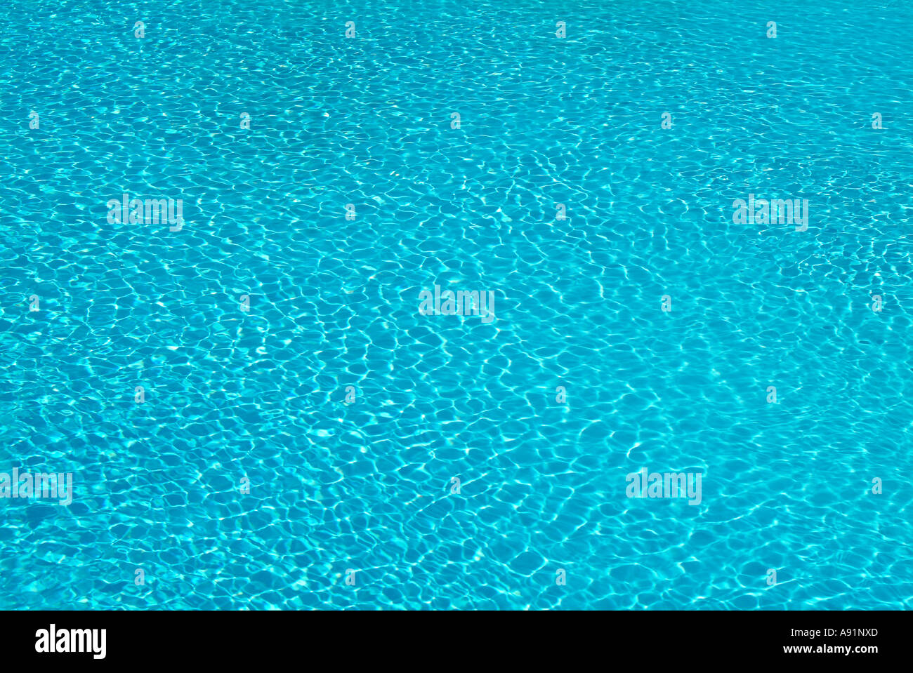 Swimming Pool Schwimmbecken Stockfoto