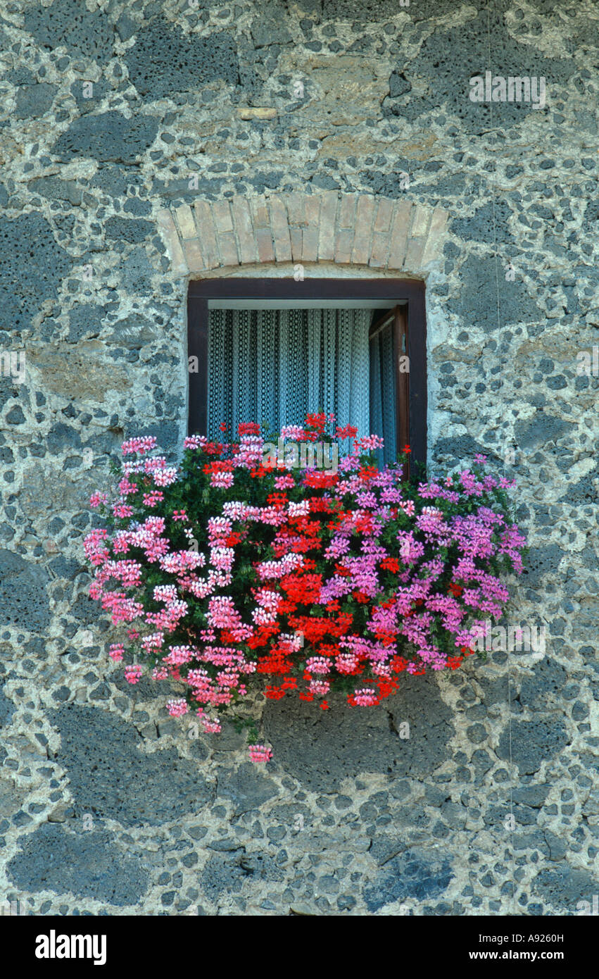 Blumenkasten in Fenster Bayern Stockfotografie - Alamy
