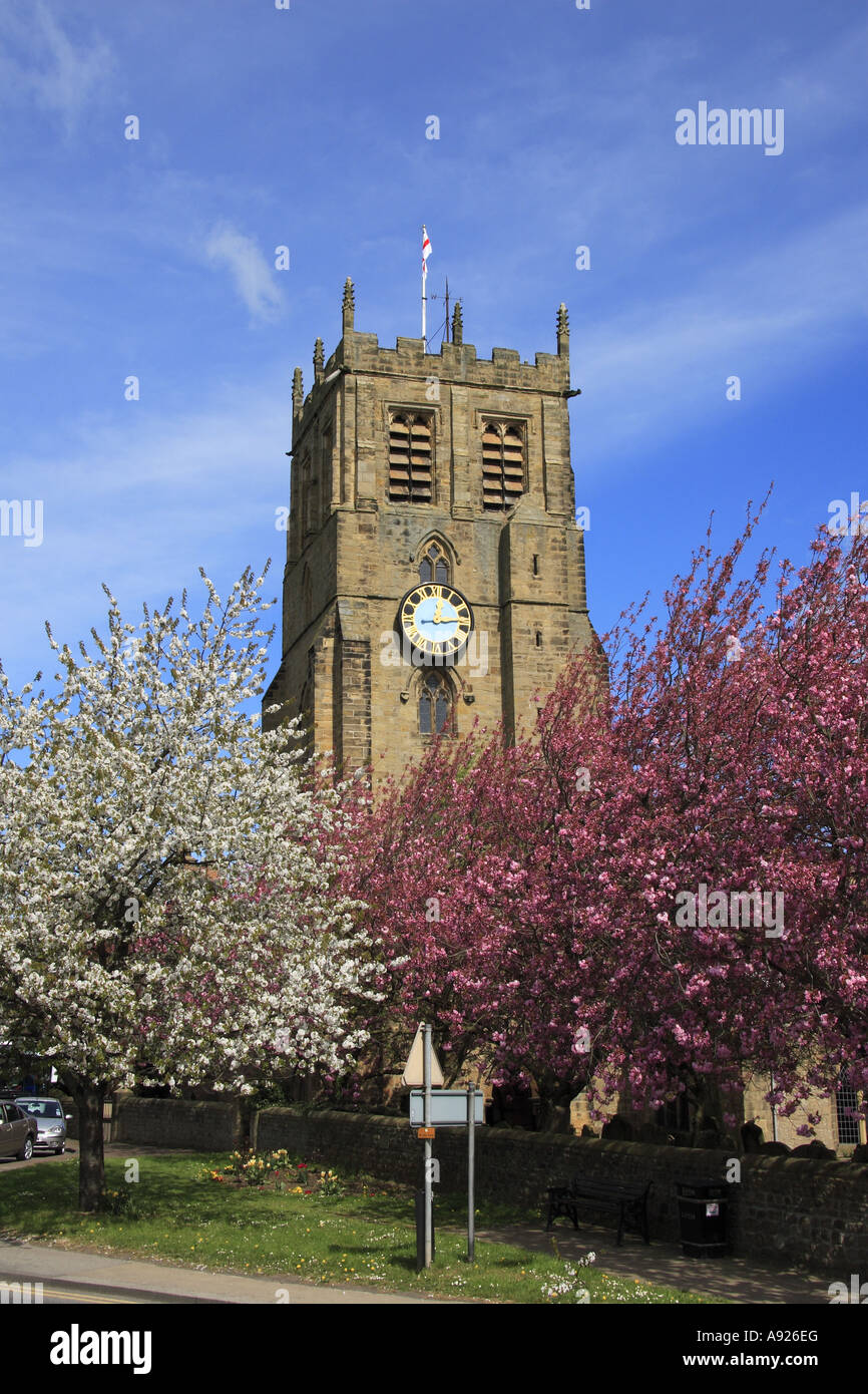 St. Gregory s Kirchturm Bäume in Blüte Bedale North Yorkshire England UK Stockfoto