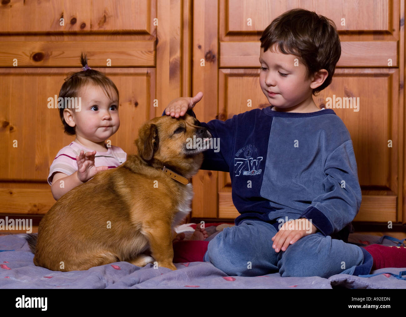 Schwester und Bruder mit einem Hund spielen Stockfoto