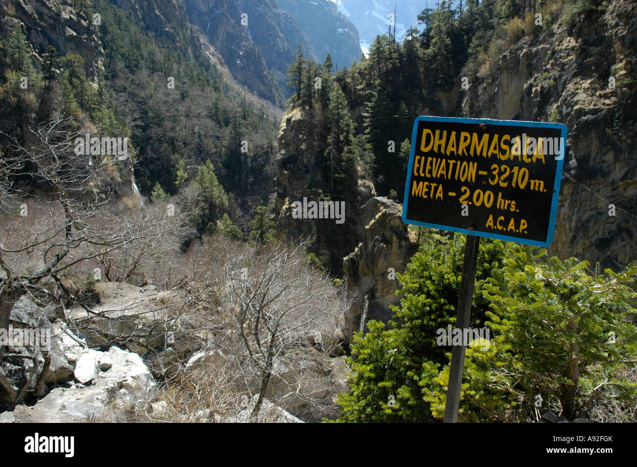 Berglandschaft mit Wald und Zeichen der A.C.A.P. Dharmasala 3210 m Nar-Phu Annapurna Region Nepal Stockfoto