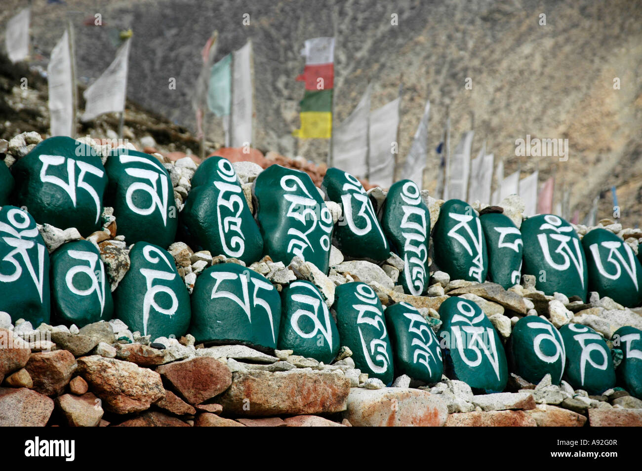 Tibetischer Schrift auf grün bemalten Steinen legen Sie in einer Reihe vor Gebetsfahnen im Kloster Tashi Gompa Phu Nar-Phu Annapurna Reg Stockfoto