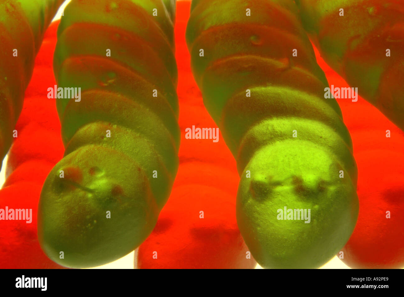 Nahaufnahme von roten und grünen Gelee Wurm Süßigkeiten von unten beleuchtet Stockfoto