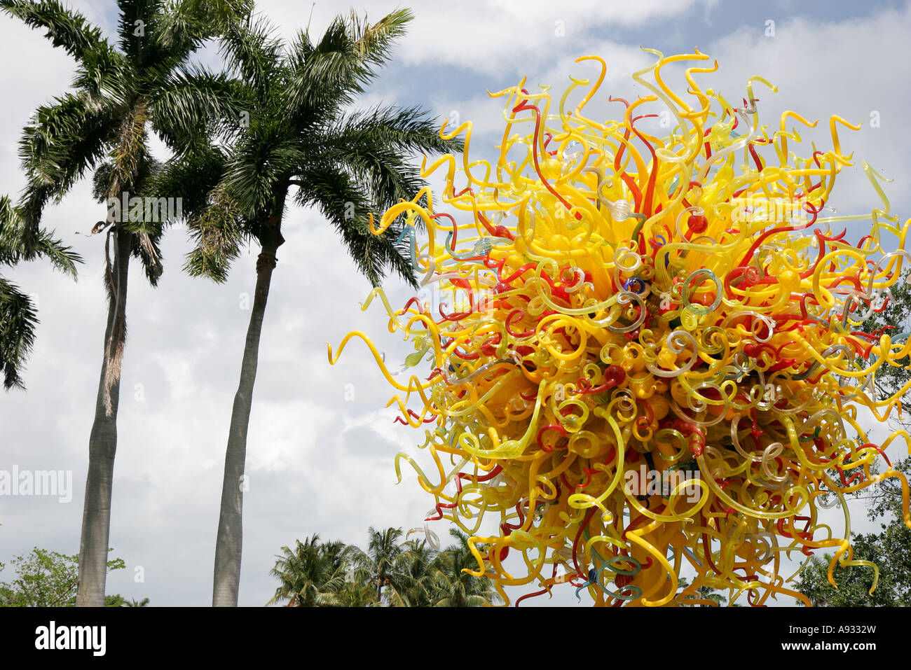 Miami Florida, Coral Gables, Fairchild Tropical Botanic Garden, botanisch, Chihuly Glaskunst Skulptur, Palmen, Baum, FL070527034 Stockfoto