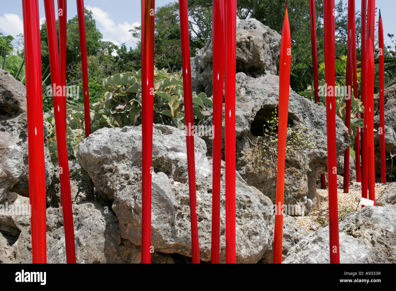 Miami Florida, Coral Gables, Fairchild Tropical Botanic Garden, botanisch, Chihuly-Glaskunst, Steingarten, FL070527037 Stockfoto