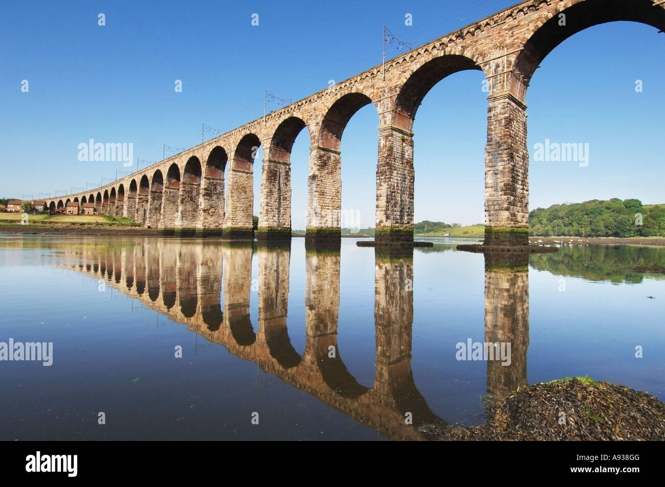 Die Royal-Grenzbrücke in Berwick nach Tweed trägt GNER und Jungfrau-Züge über den Fluss Tweed Stockfoto