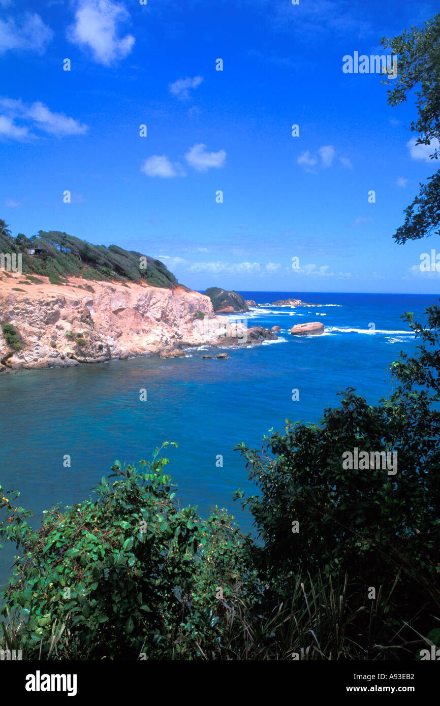 Club Domunique in Woodford Hill Bay auf Dominica Stockfoto