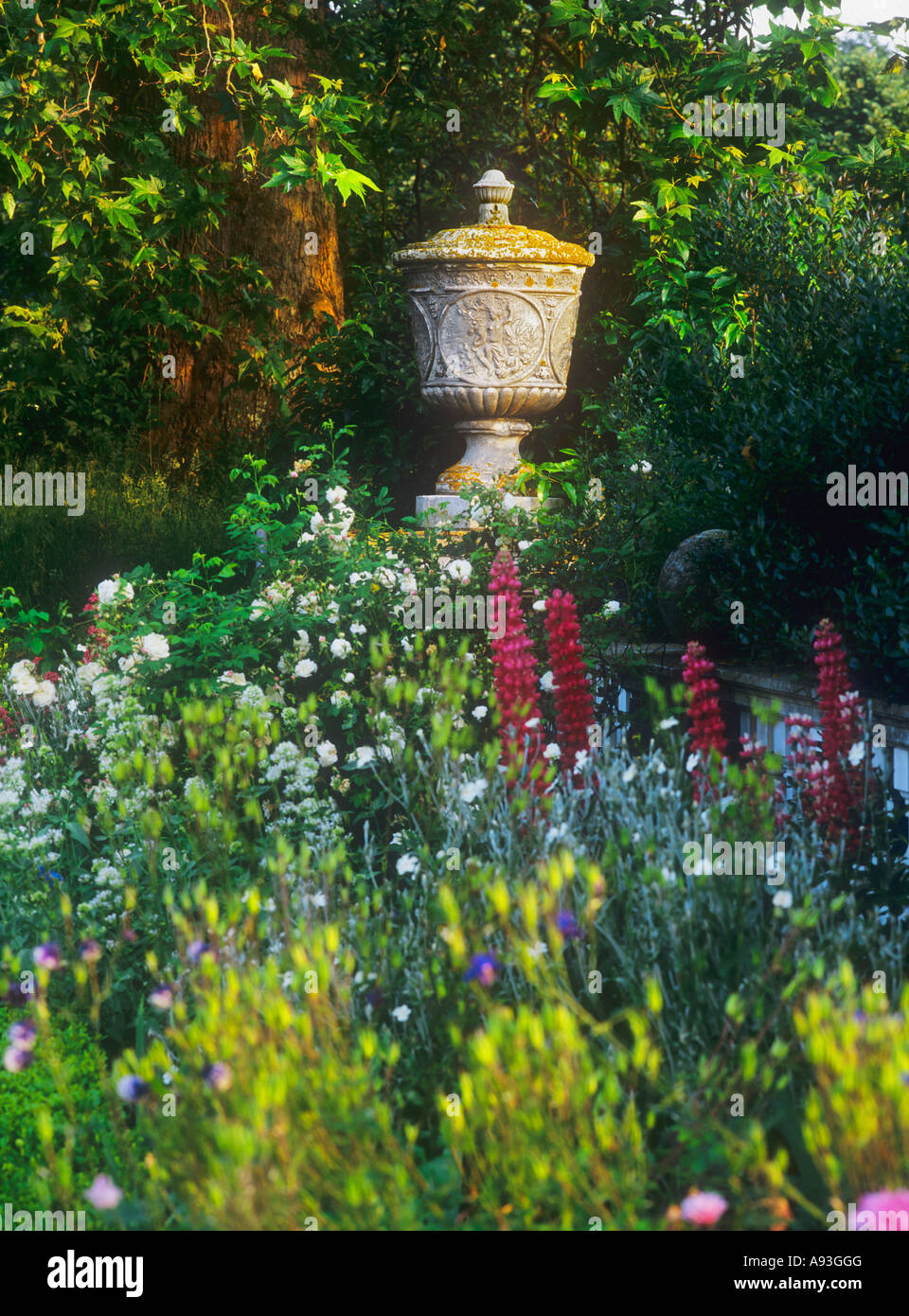 Lupinen und Wildblumen in einem grünen, farbenfrohen Garten mit verwitterter alter dekorativer Steinurne auf dem englischen Land sind ein Blickfang dahinter Stockfoto