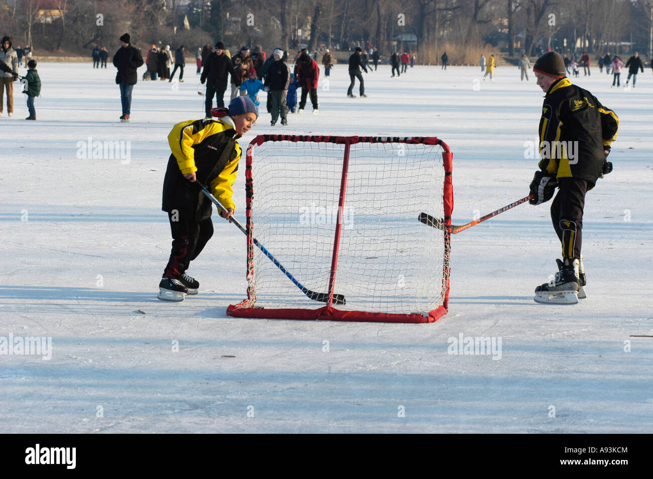 Eishockey auf der alten Donau Stockfoto