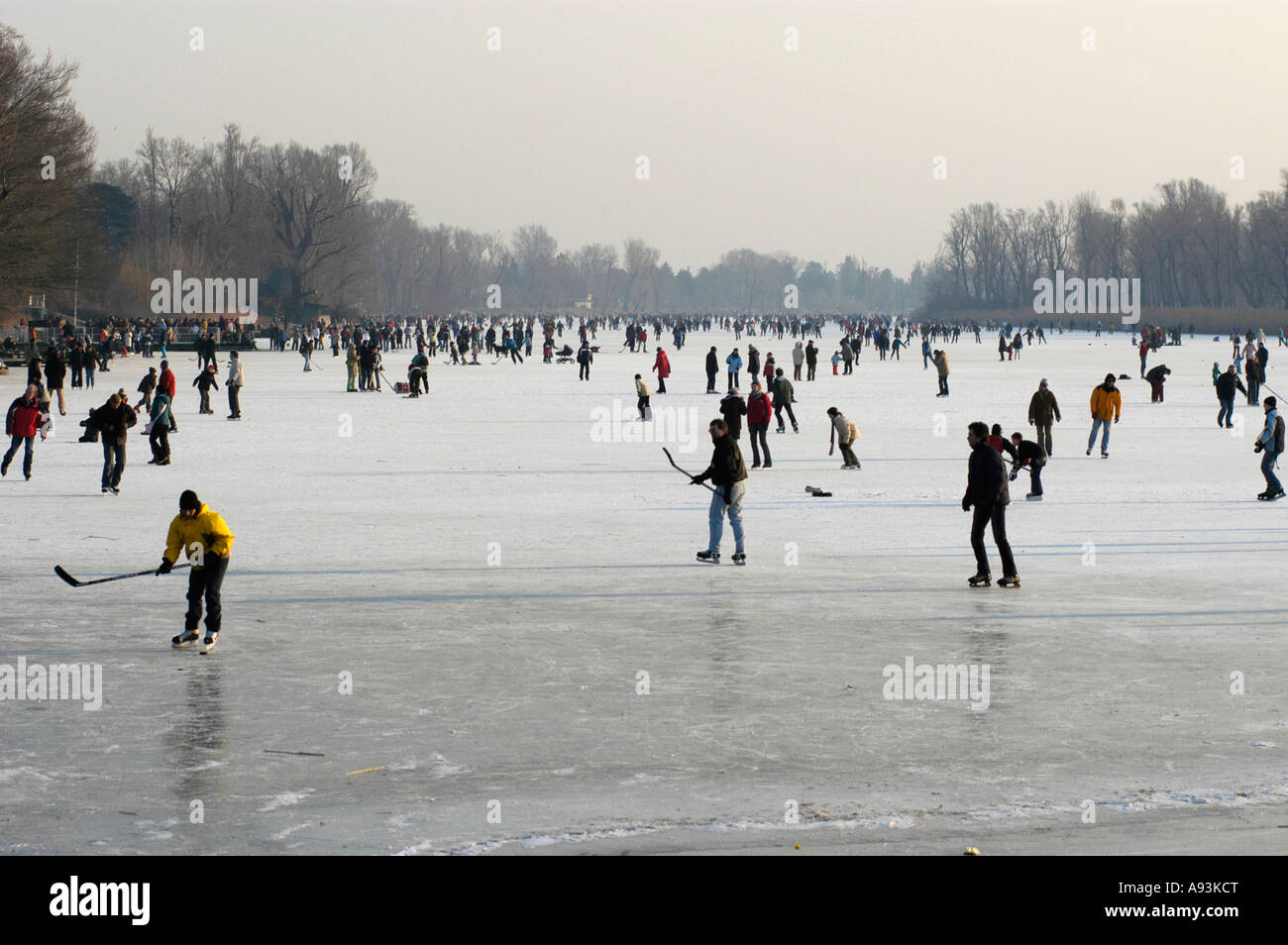Eis-Lauf auf der alten Donau Stockfoto
