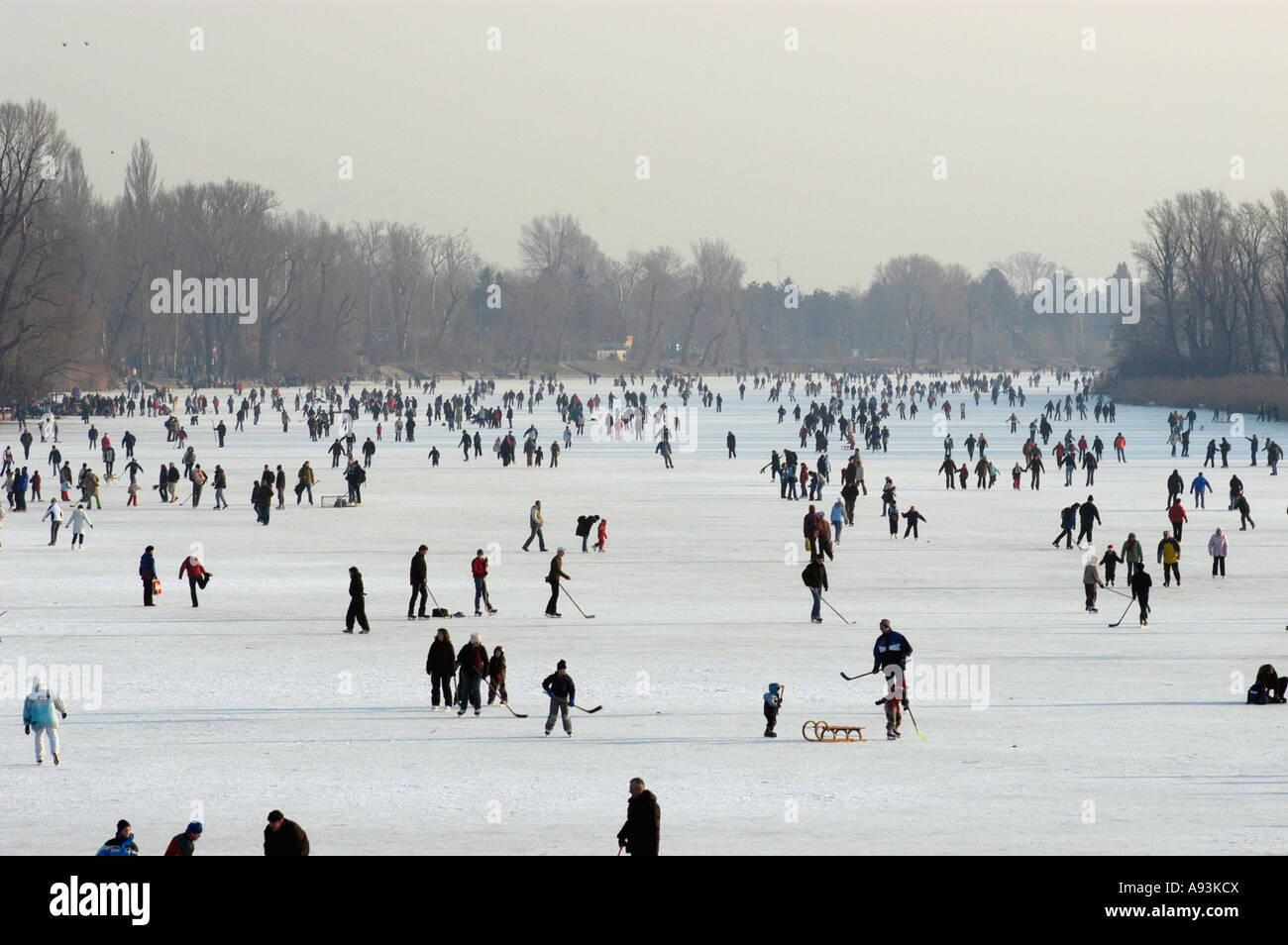 Eis-Lauf auf der alten Donau Stockfoto