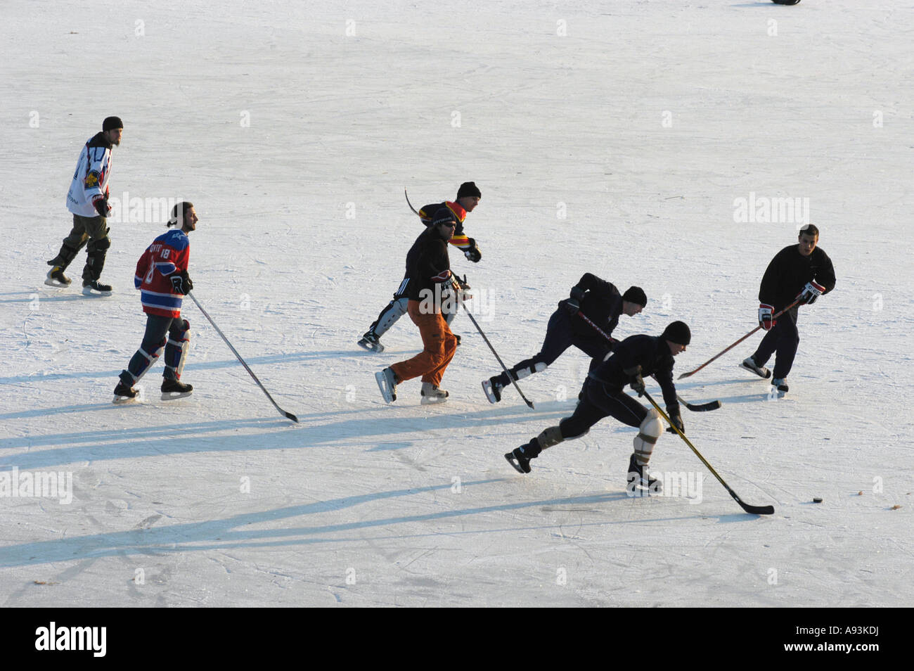 Eishockey auf der alten Donau Stockfoto