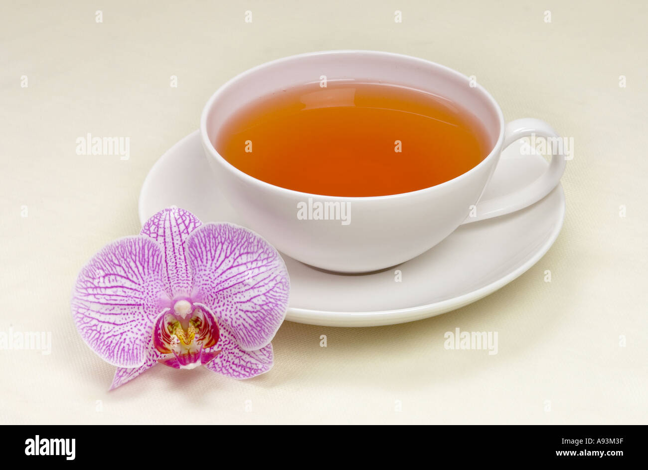 eine Tasse schwarzer Tee Nahaufnahme Foto einen Orchideen PHALAENOPSIS Service ruhig Stockfoto