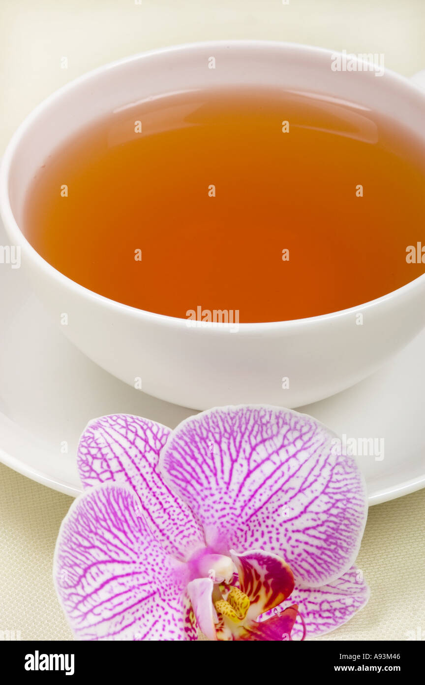 eine Tasse schwarzer Tee nah oben Foto einen Orchideen PHALAENOPSIS Service ruhig weiße Porzellanschale Stockfoto