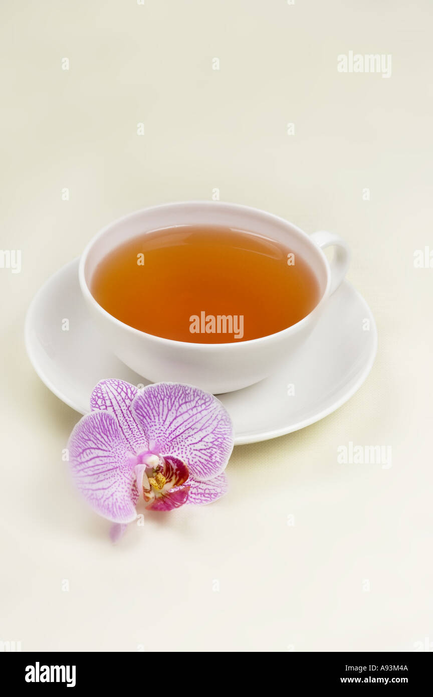 eine Tasse schwarzer Tee nah oben Foto einen Orchideen PHALAENOPSIS Service ruhig weiße Porzellanschale Stockfoto