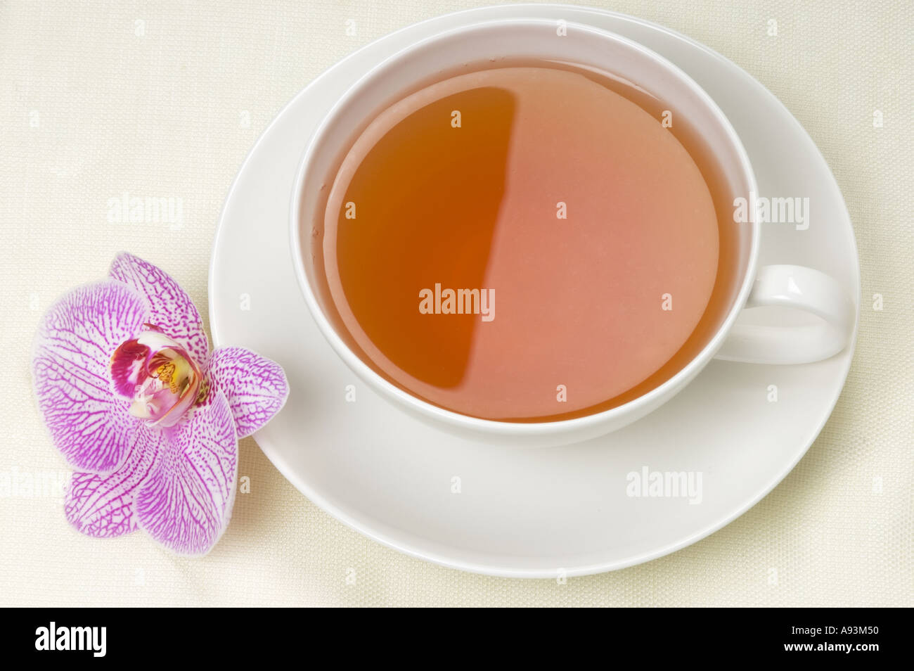 eine Tasse schwarzer Tee nah oben Foto einen Orchideen PHALAENOPSIS Service ruhig weiße Porzellanschale Stockfoto