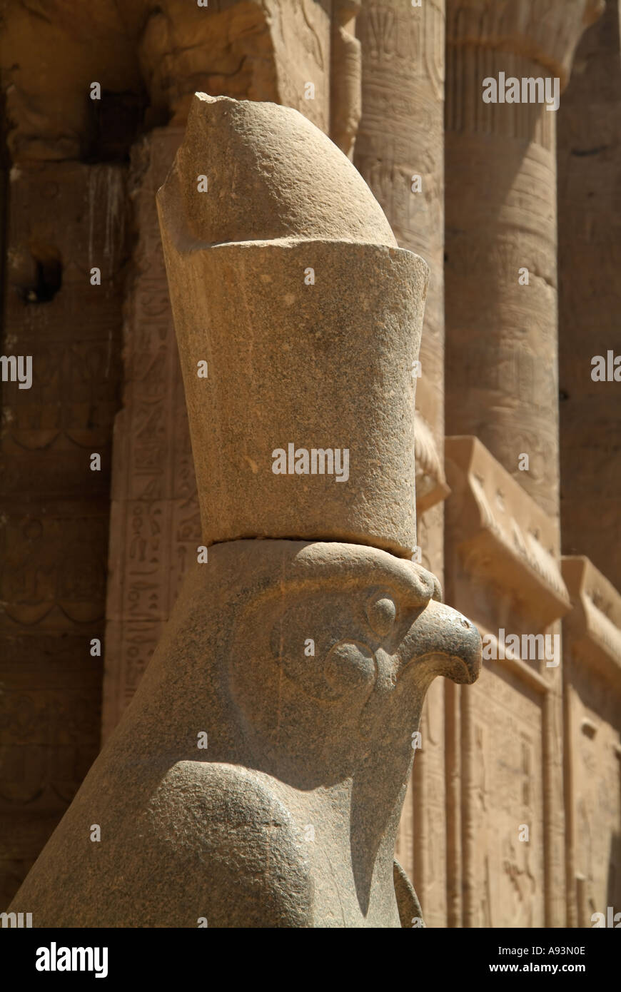 Statue des Falken Gottes Horus trägt die Doppelkrone Ägyptens, Edfu Tempel, Ägypten Stockfoto