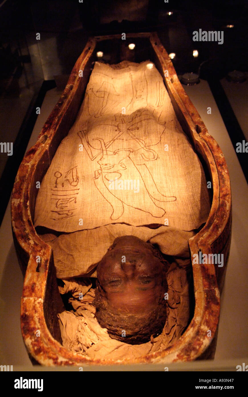 Mumie von einem Hohepriester des Amun-Ra, Mumifizierung Museum, Luxor, Ägypten Stockfoto