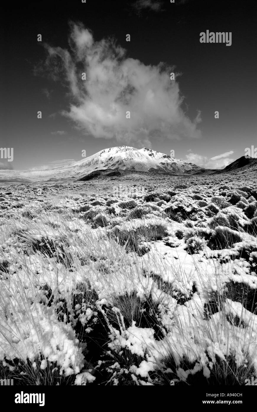 Monochrome verschneite Steppe und Cerro Leon (1434m), Nationalpark Perito Moreno, Südpatagonien, Santa Cruz, Argentinien Stockfoto