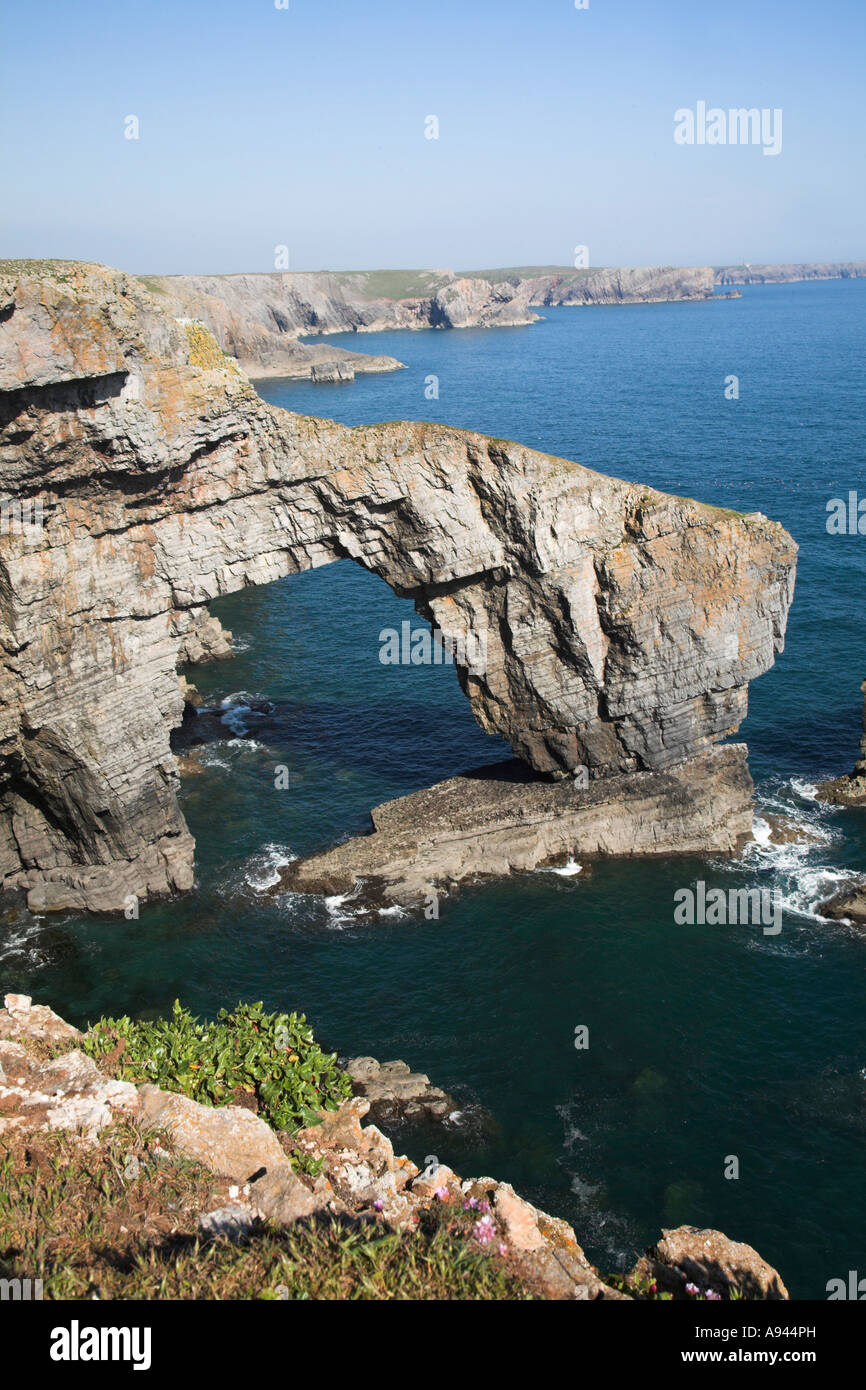 Grüne Brücke von Wales, Küsten naturale, Castlemartin Pembrokeshire, Wales Stockfoto