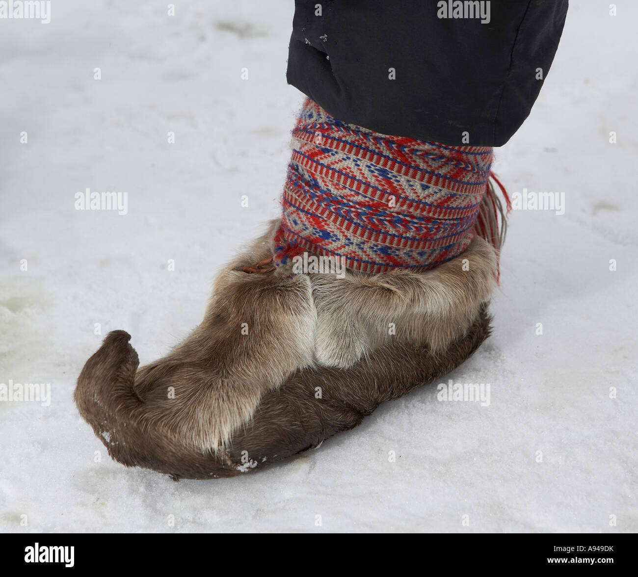 Sami Rentier Fell Schuhe, Lappland, Finnland Stockfotografie - Alamy