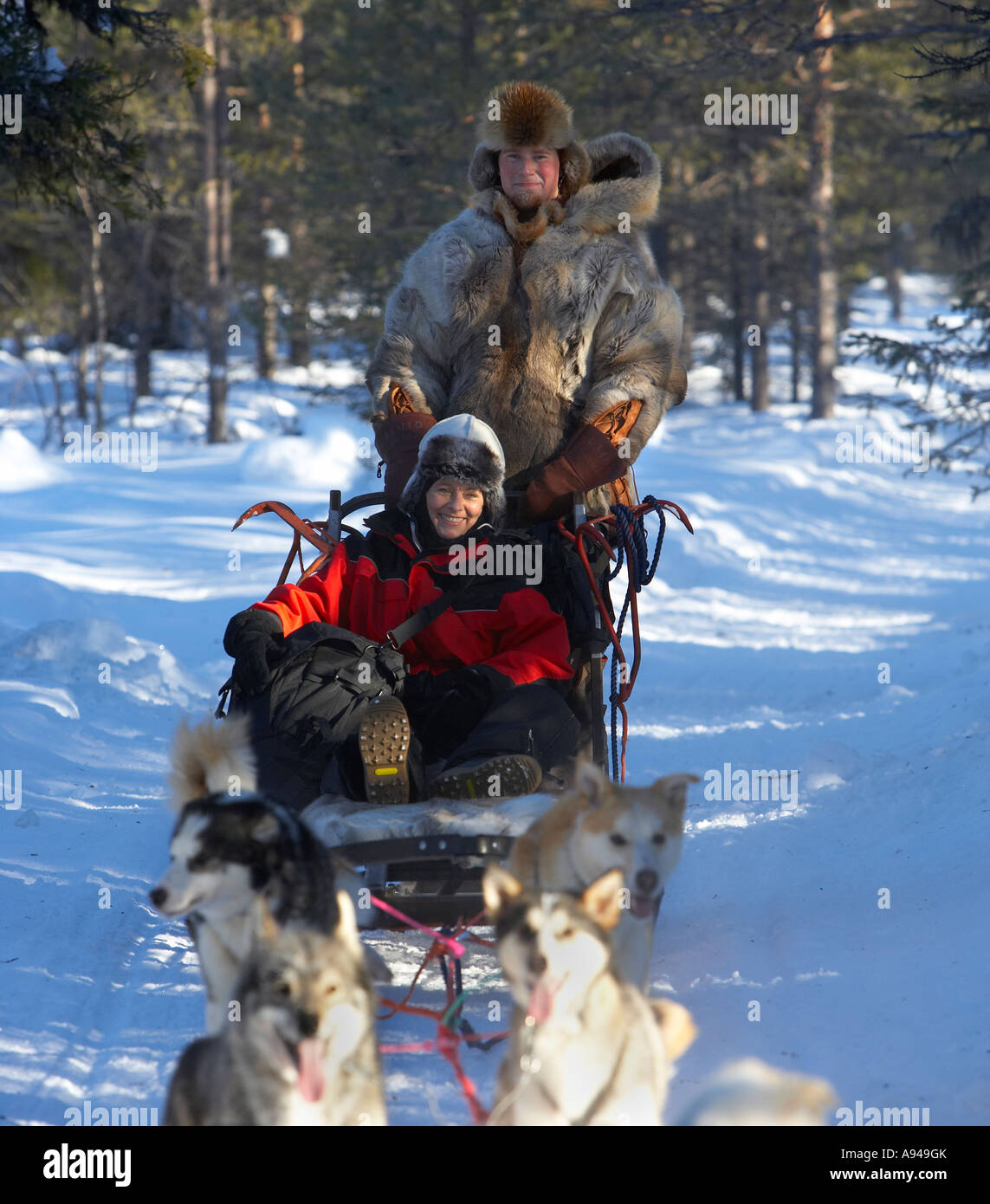 Touristen auf Hundeschlitten, Schneehotel, Lappland, Finnland Stockfoto