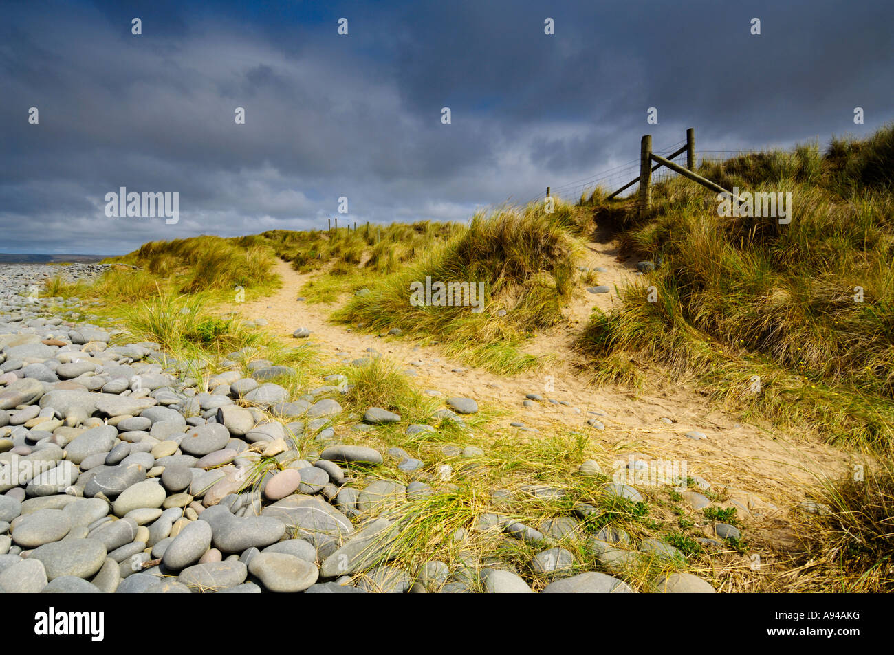 Sanddünen in Northam Burrows auf dem South West Coast Path in der Nähe von Westward Ho! in Devon, England. Stockfoto