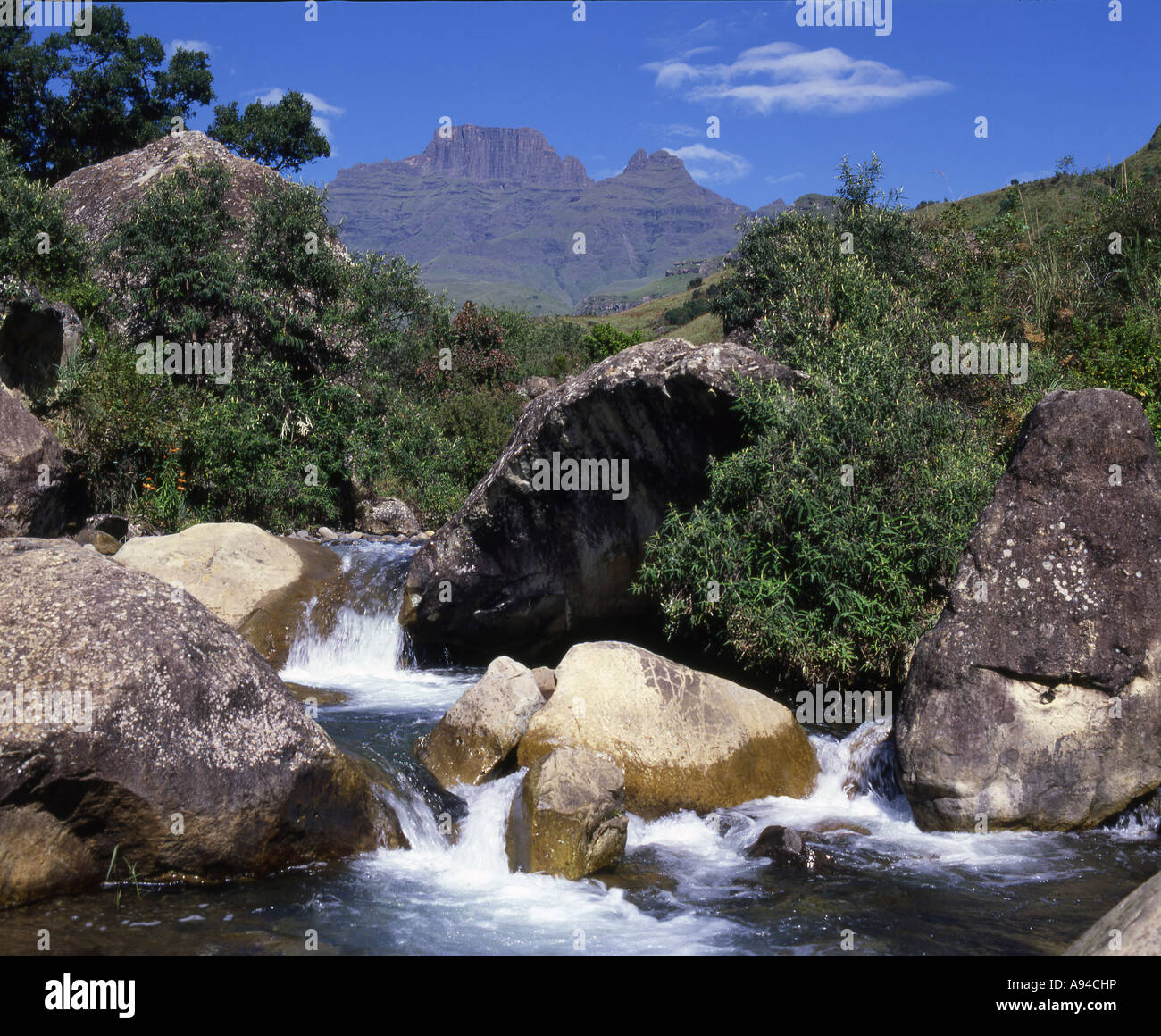 Sterkspruit in die Drakensberge Ukahlamba Drakensberg Park Kwazulu-Natal South Africa Stockfoto