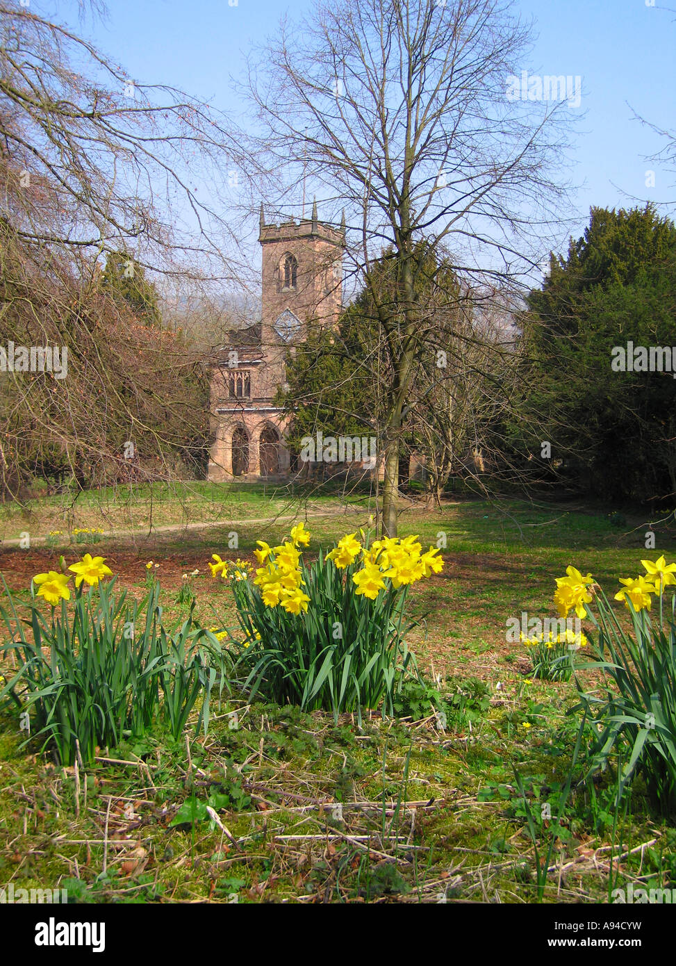 St. Marys Kirche Cromford Derbyshire mit Feder Narzissen in voller Blüte im Vordergrund Stockfoto