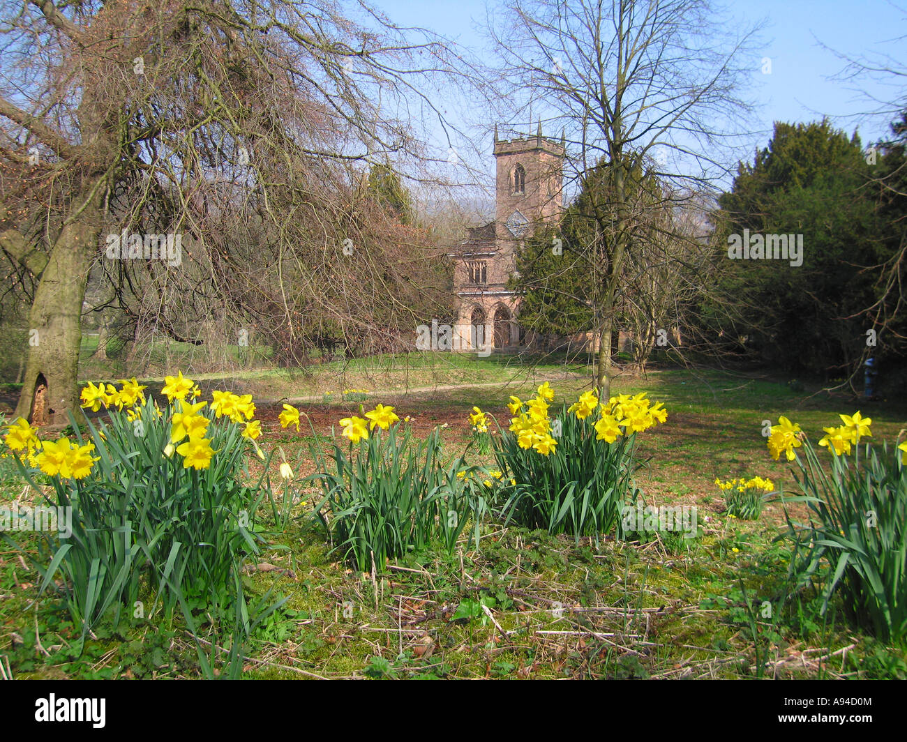 St. Marys Kirche Cromford Derbyshire mit Feder Narzissen in voller Blüte im Vordergrund Stockfoto