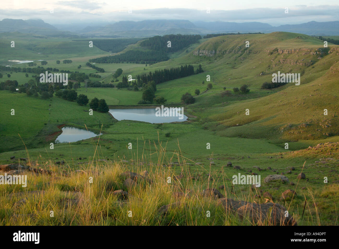 Malerische Landschaft aus grünen Hügeln und mehrere kleine Dämme in einem Tal erstreckt sich auf die Drakensberge in der Ferne Stockfoto