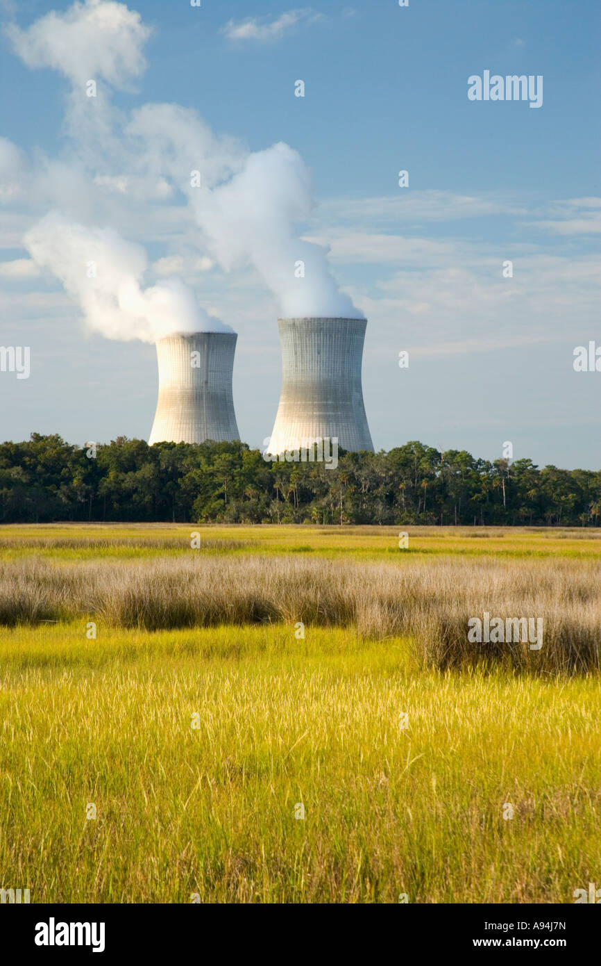 Verdunstungs-Kühltürme, St. Johns River Power, Florida Stockfoto
