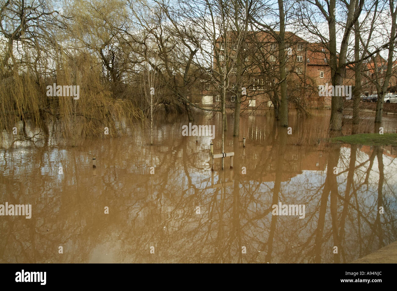 Stamford Bridge East Yorkshire Flut, Wasser, Fluss, Ebene, geschwollene, Fluss Stockfoto