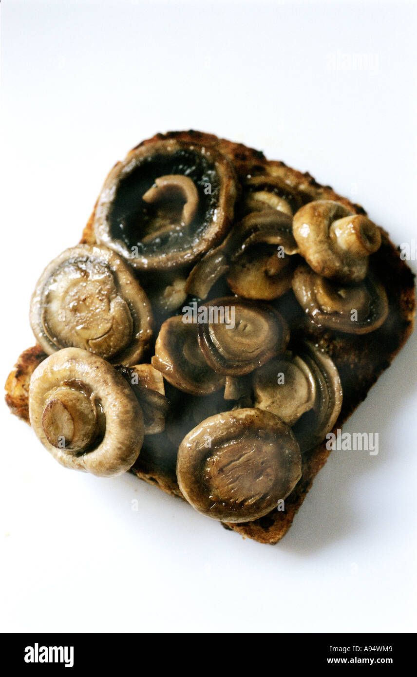 Trennsäge Pilze auf toast Stockfoto