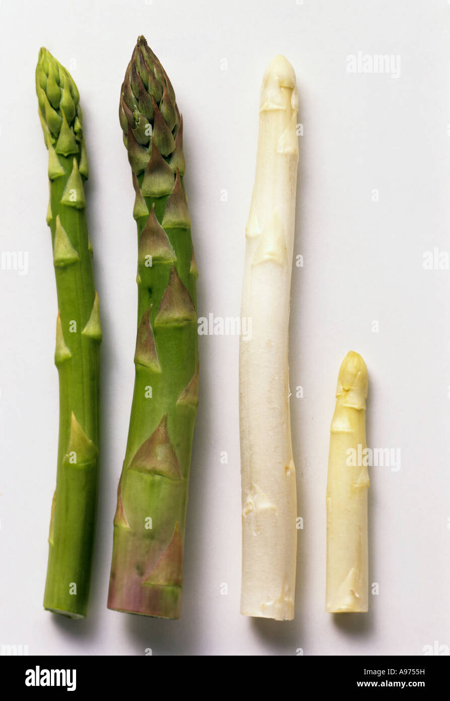 Vier verschiedene Spargel Spears FoodCollection Stockfoto