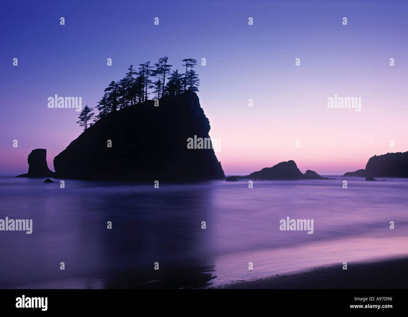 Olympic National Park Washington State USA Stockfoto