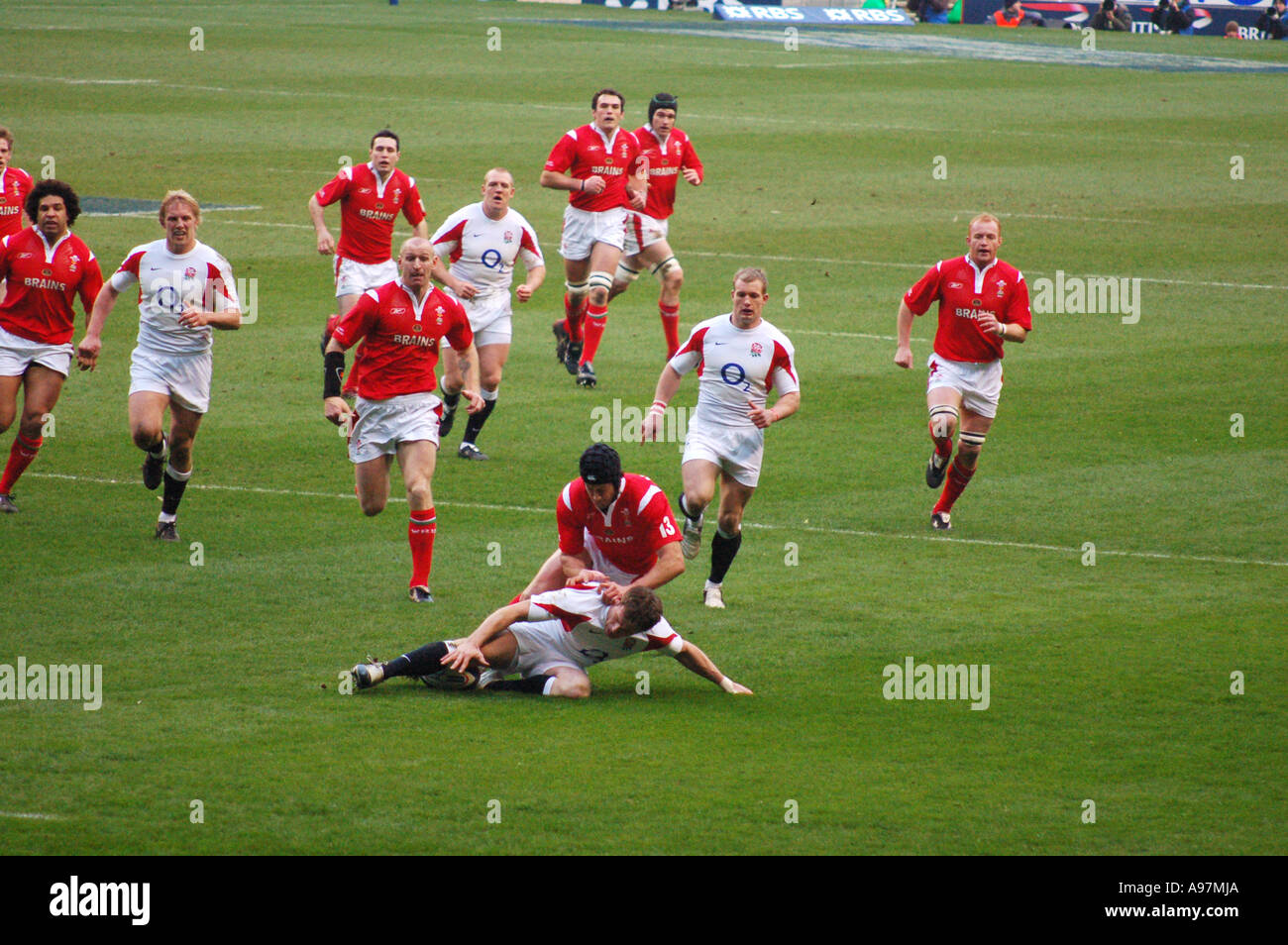 Unterstützung kommt England Wales Twickenham 2347 Stockfoto