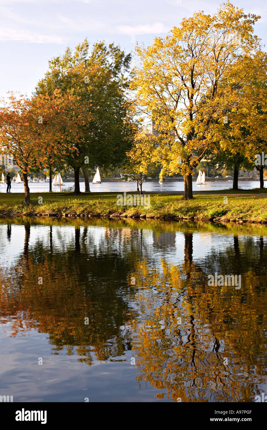 MASSACHUSETTS Boston Reflexion von Herbstlaub im Wasser entlang der Esplanade Greenway entlang Charles River basin Stockfoto