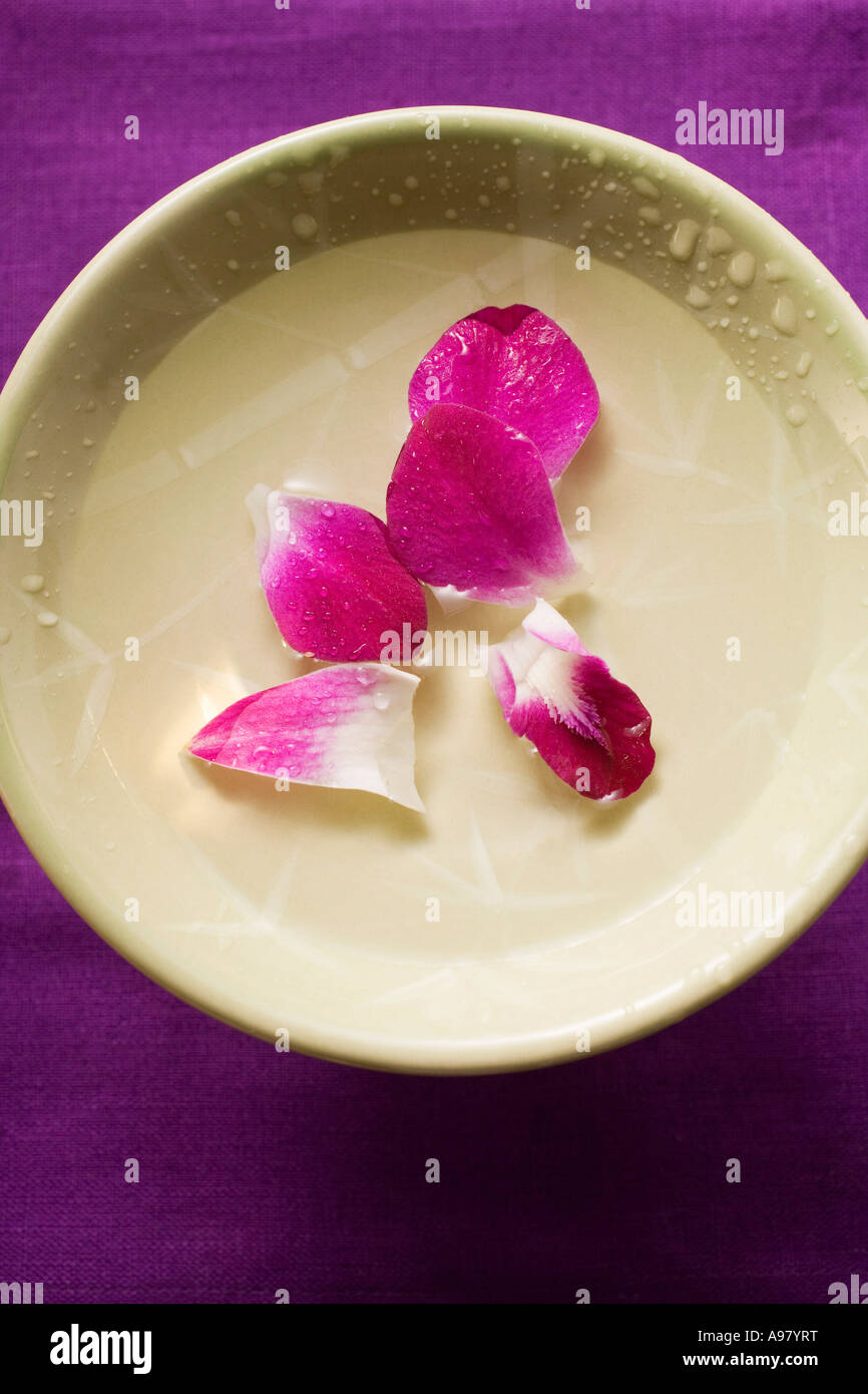Lila Orchidee Blüten in Schüssel mit Wasser FoodCollection Stockfoto