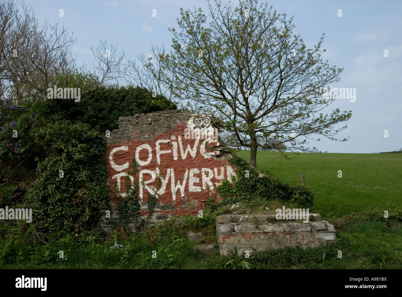 Cofiwch Dryweryn Graffiti, Ceredigion Stockfoto