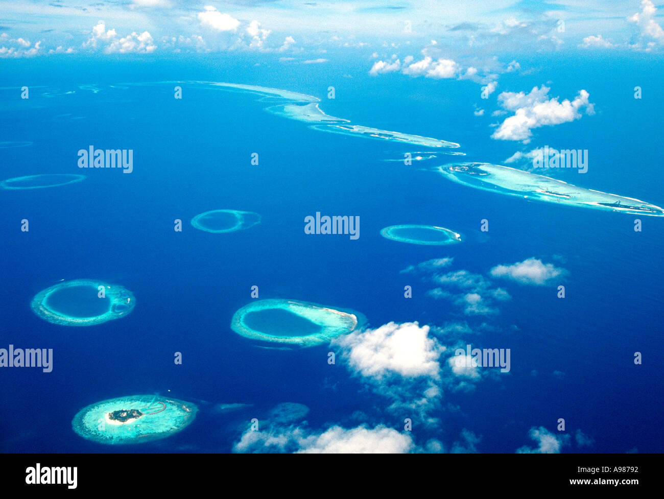 male atoll