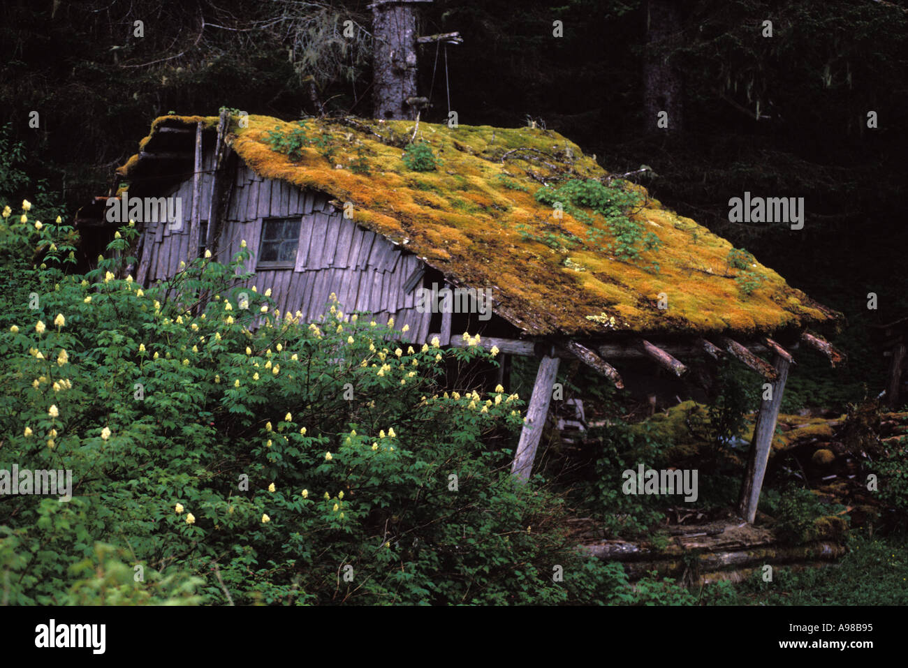 Alaska, südöstlich, verlassenen Hütte Stockfoto