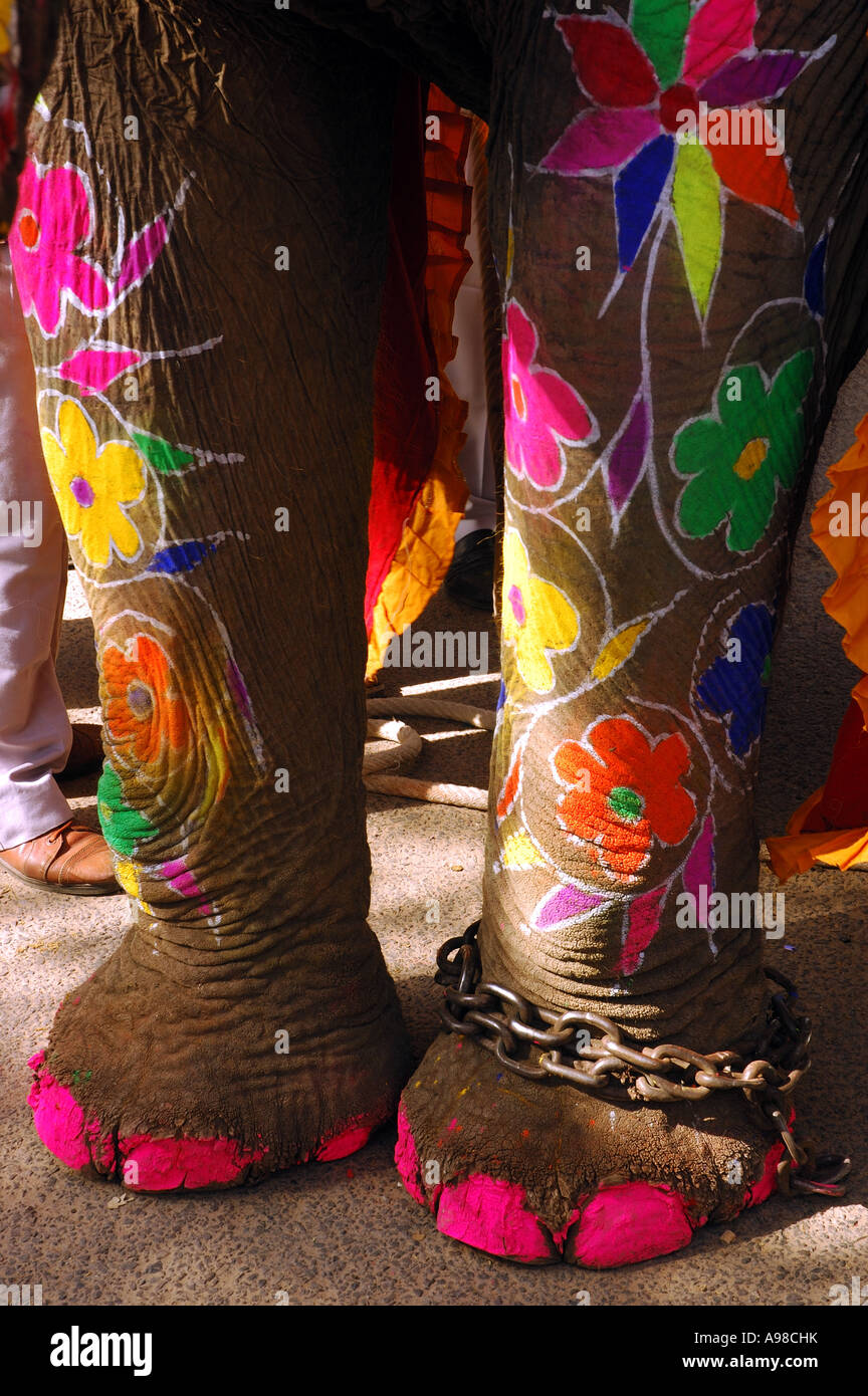 Bemalte Elefantenfüße, Jaipur, Indien Stockfoto