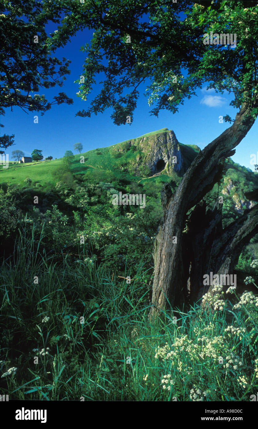 Thors Höhle Krümmer Tal Staffordshire England UK Stockfoto